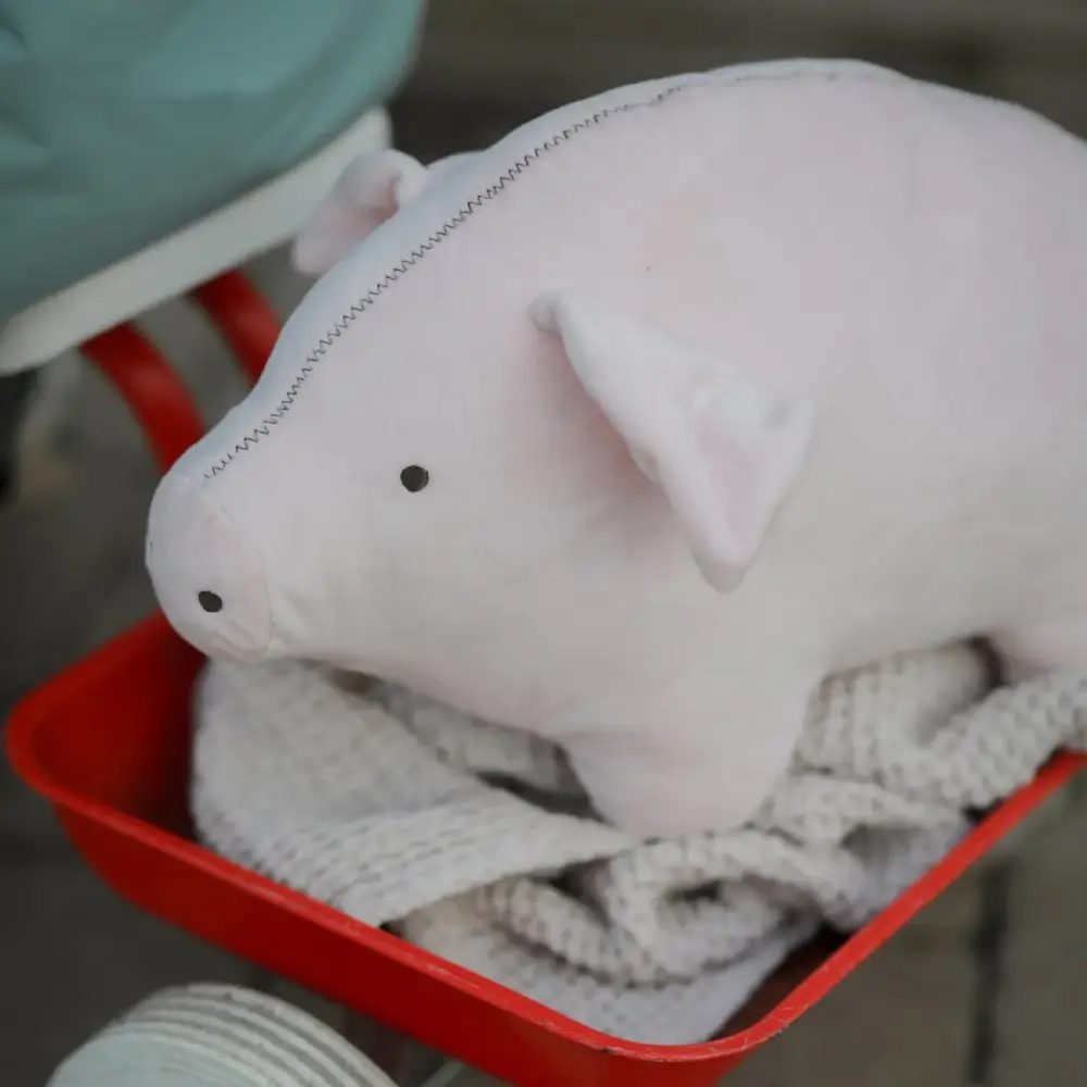 Rätt Start Lotta på Bråkmarakgatan Bamsen