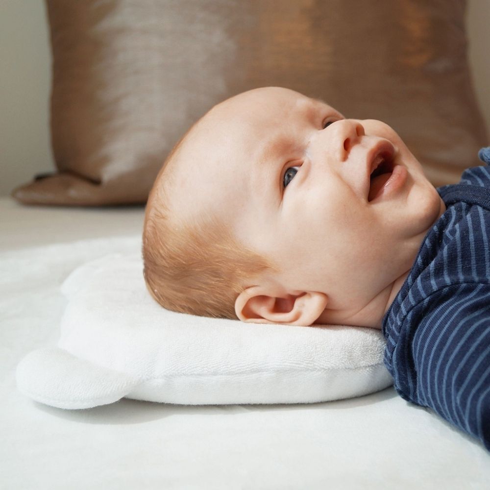 Candide pandakudde vit