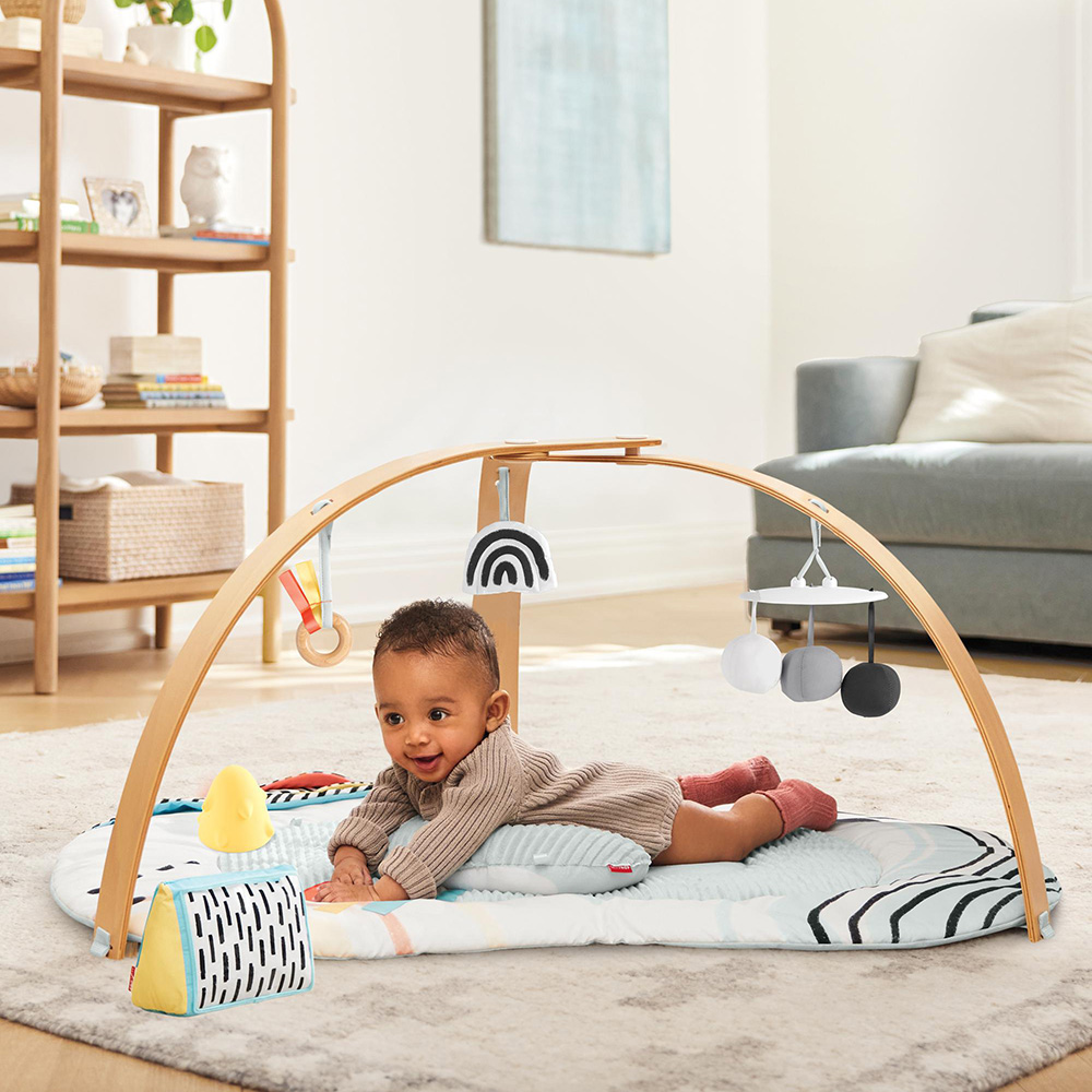 Skip Hop Discoverosity Babygym