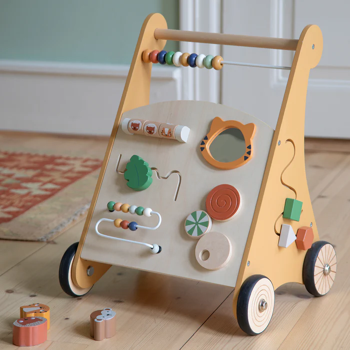 Sebra Aktivitets Wildlife