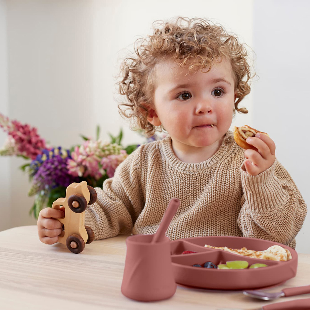 Everyday Baby Silikontallrik med sugkopp Nature Red