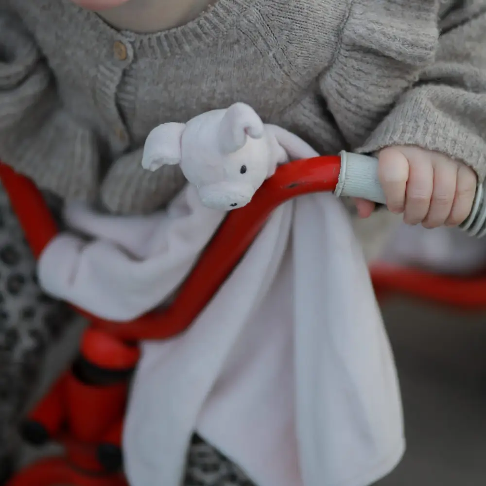 Rätt Start Lotta på Bråkmakargatan Bamsen snuttefiltskompis