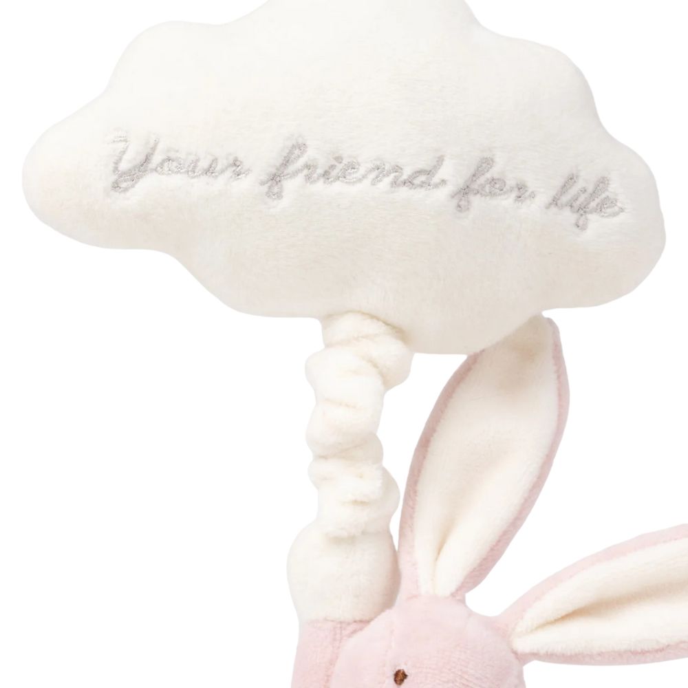 Teddykompaniet Diinglisar Speldosa Moln Kanin Dimrosa