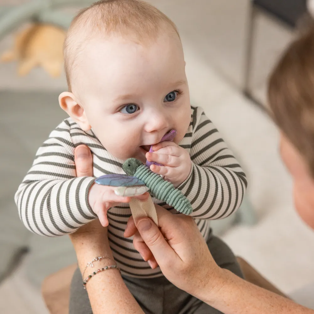 Sebra Aktivitetsleksaker 3 st Blomma/Trollslända/Svan
