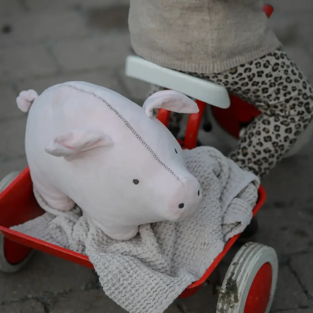 Rätt Start Lotta på Bråkmarakgatan Bamsen