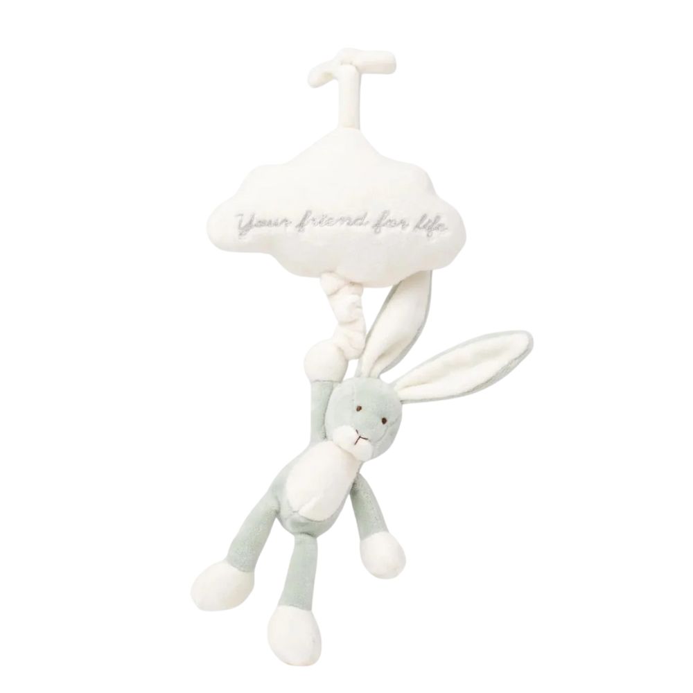 Teddykompaniet Diinglisar Speldosa Moln Kanin Lindblomsgrön