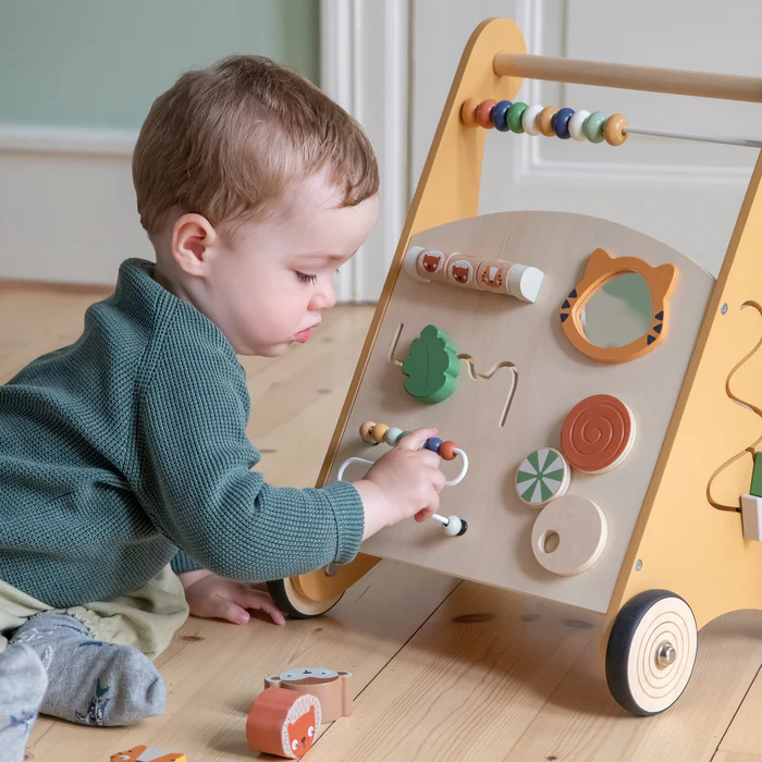 Sebra Aktivitets Wildlife