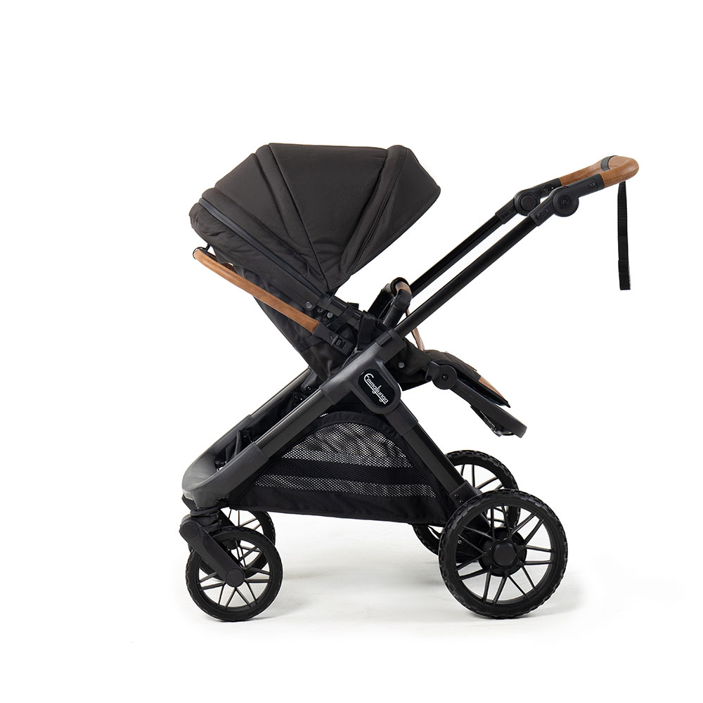 Emmaljunga Sento Max Ergo+ Outdoor Brown
