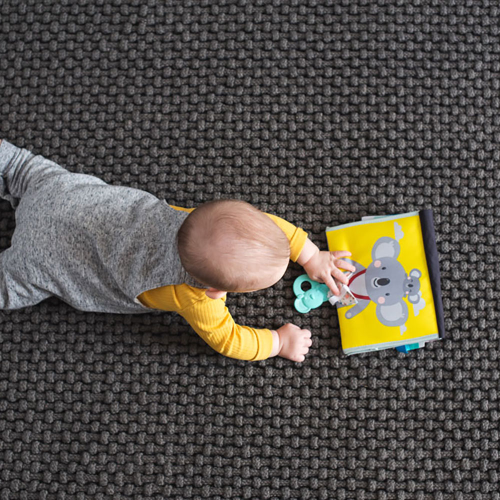 Taf Toys Tummy-Time book leksak