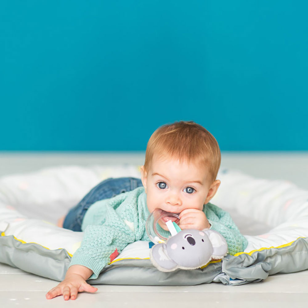 Taf Toys Kimmy koala rattle leksak