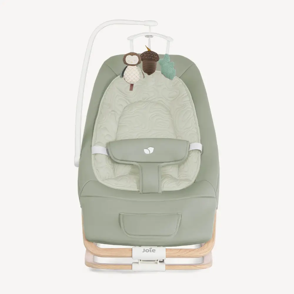 Joie Dreamer Babysitter Strata Mist Wood