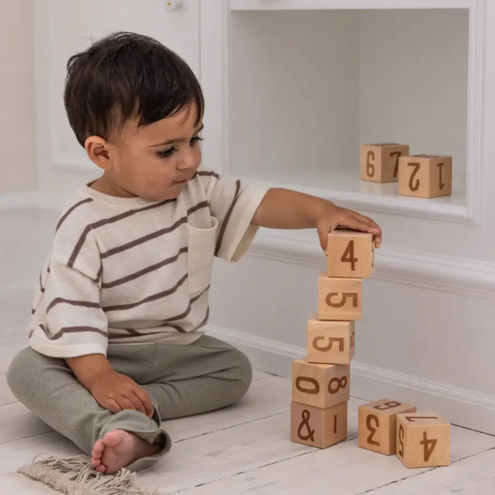 Sebra sifferklossar i trä, 12-pack