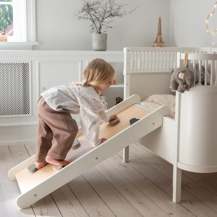 Sebra 2-i-1 klätter- och rutschkana