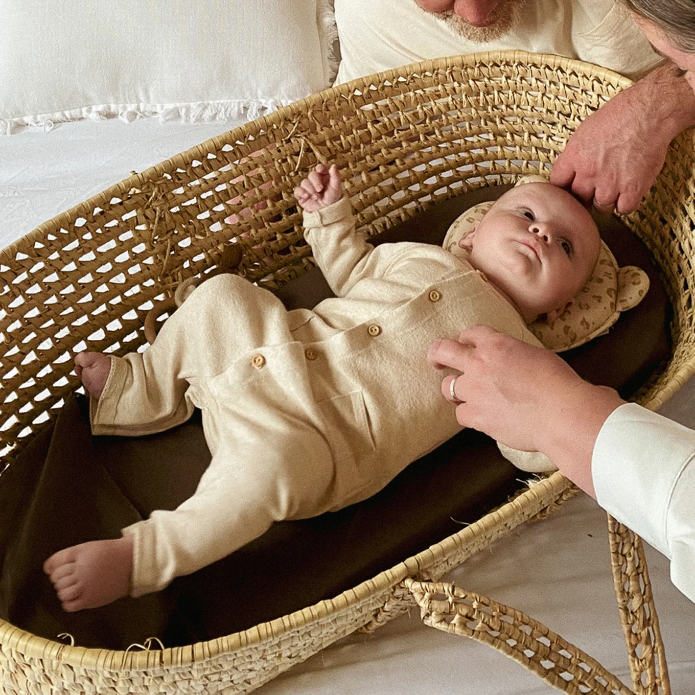 Candide Pandakudde leo