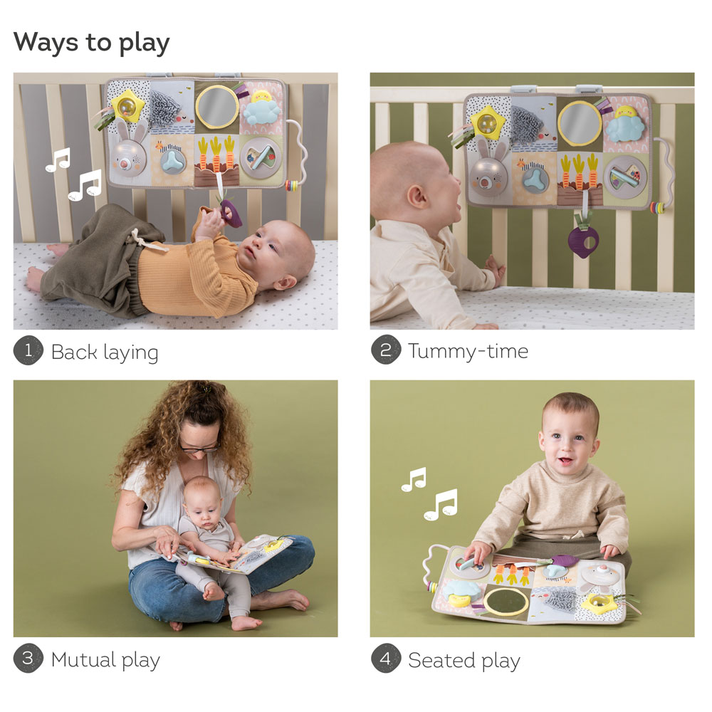 Taf Toys Developmental Activity center leksak