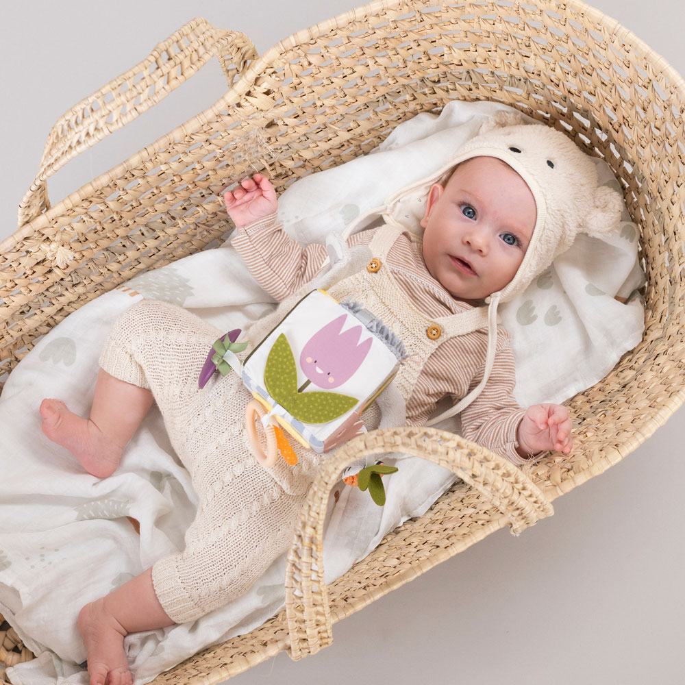 Taf Toys Urban Garden Activity cube leksak