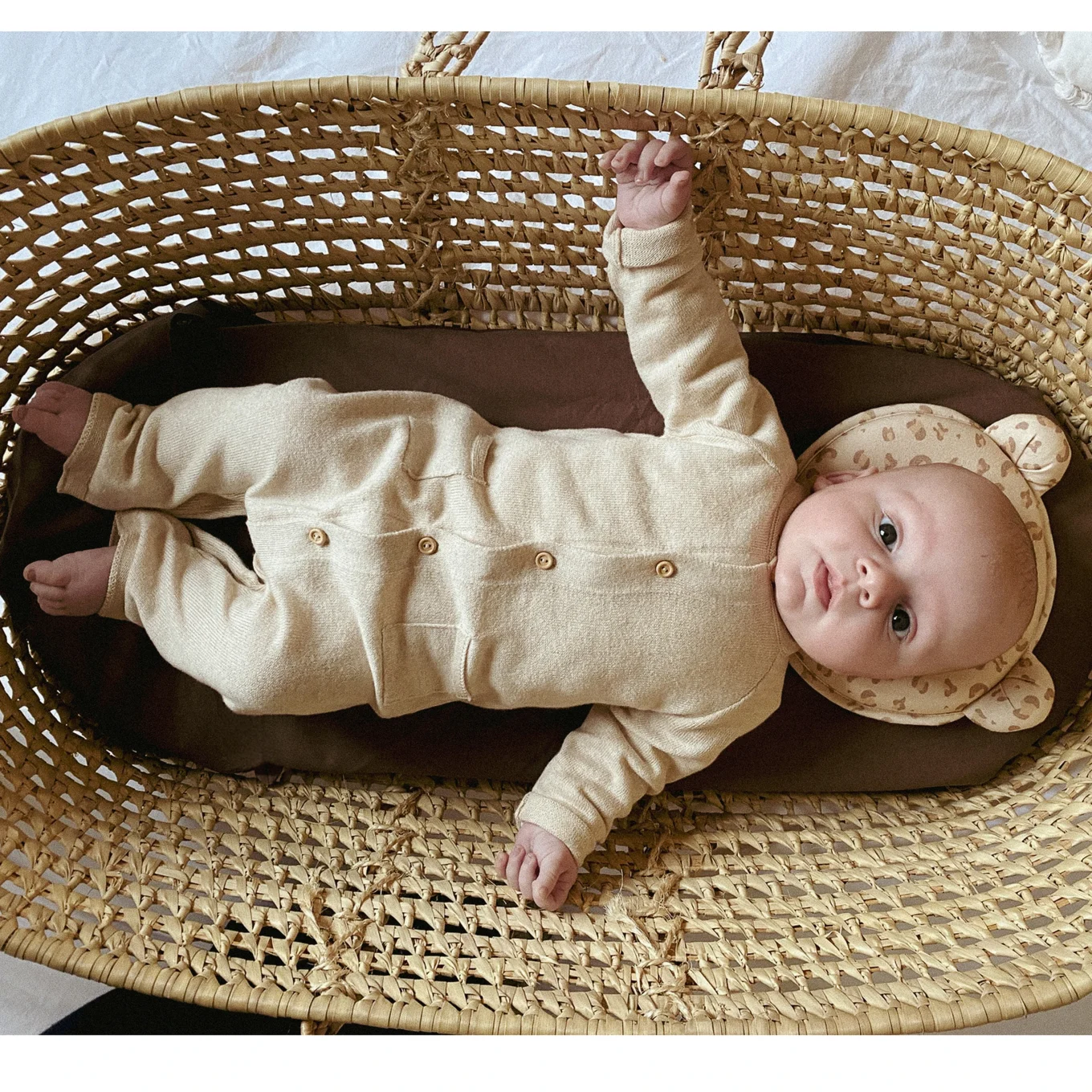 Candide Pandakudde leo