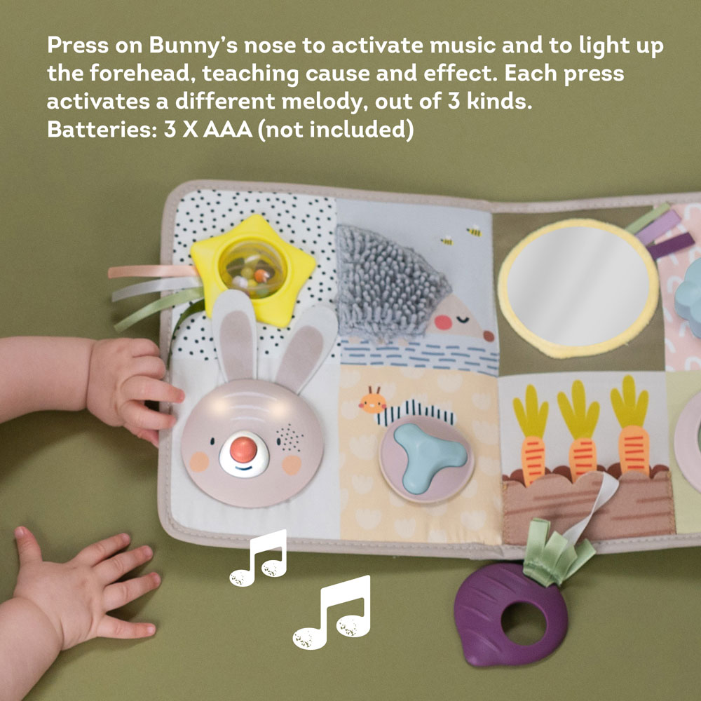 Taf Toys Developmental Activity center leksak