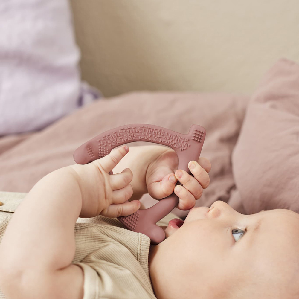 Everyday Baby Silikon Bitring  Mix LL/NR