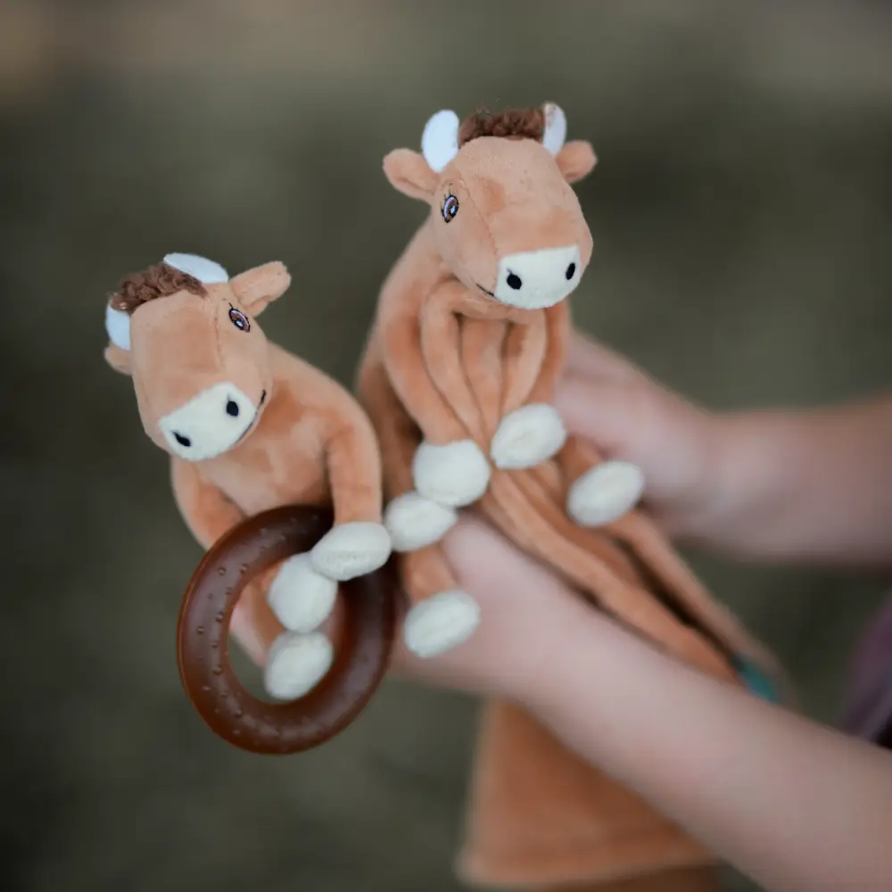 Rätt start Mamma Mu Snuttefiltskompis