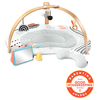 Skip Hop Discoverosity Babygym