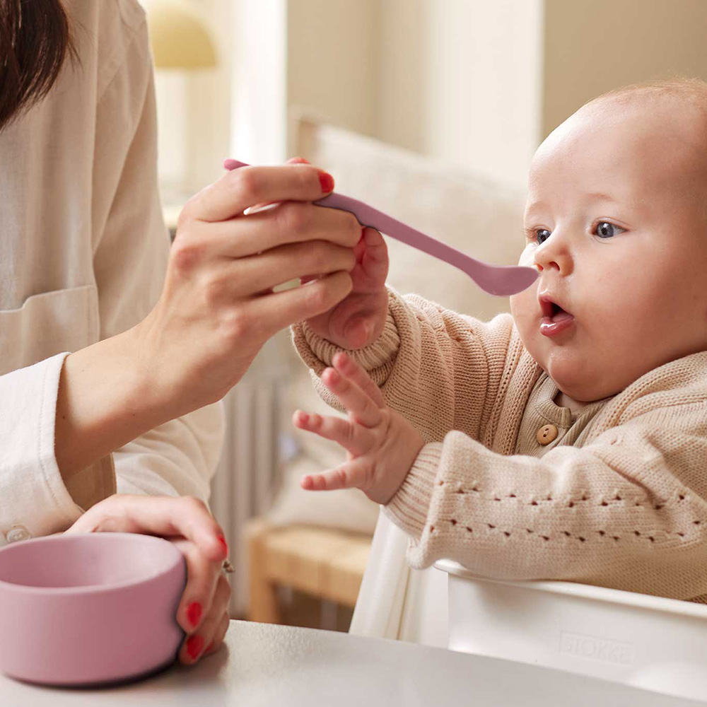 Everyday Baby Siliconsked 2-pack Purple Rose