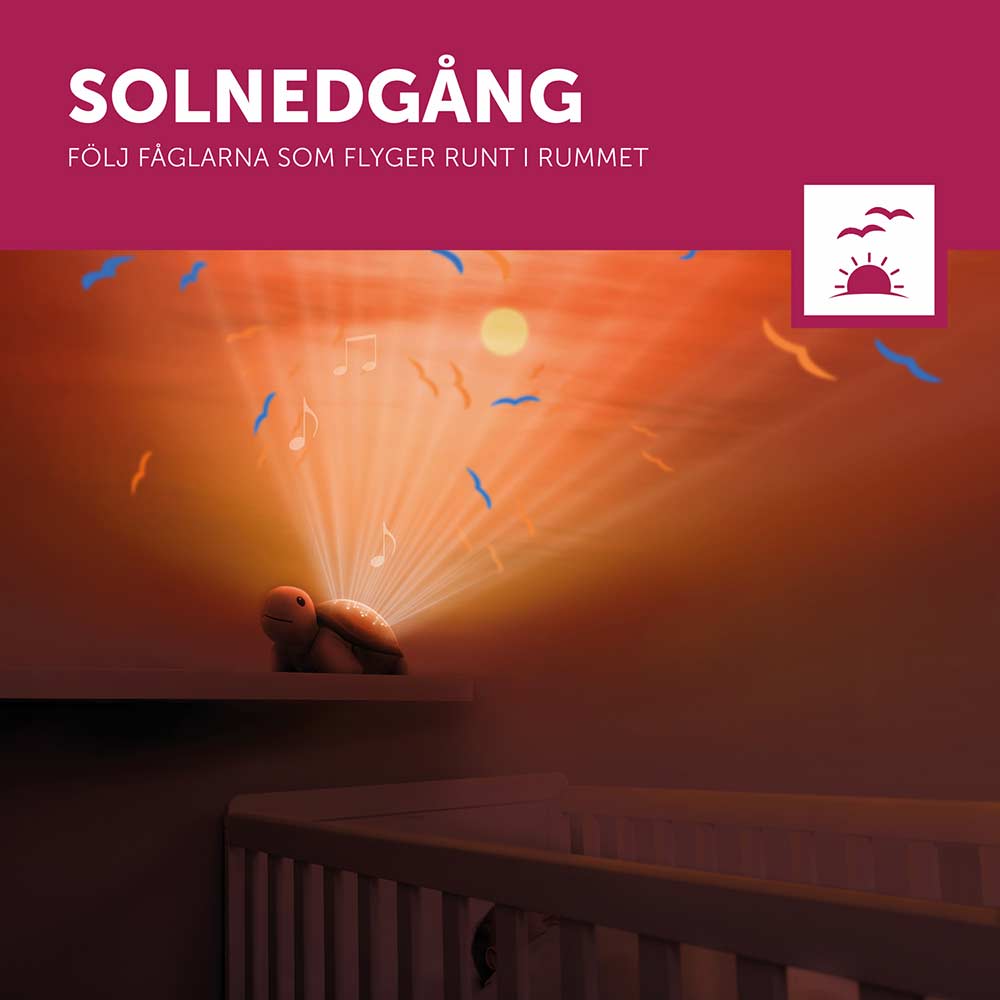 Zazu Tim the Turtle projektor