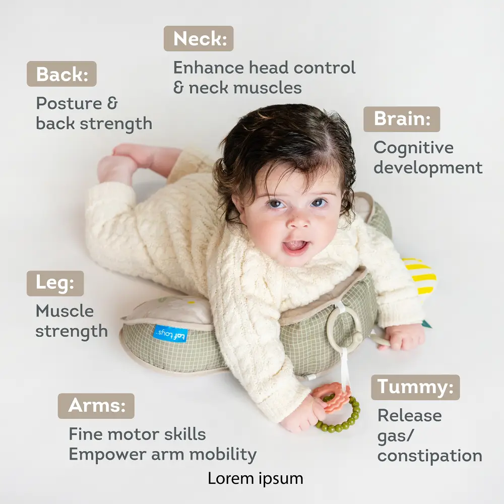 Taf Toys Bear Tummy Time Pillow leksak