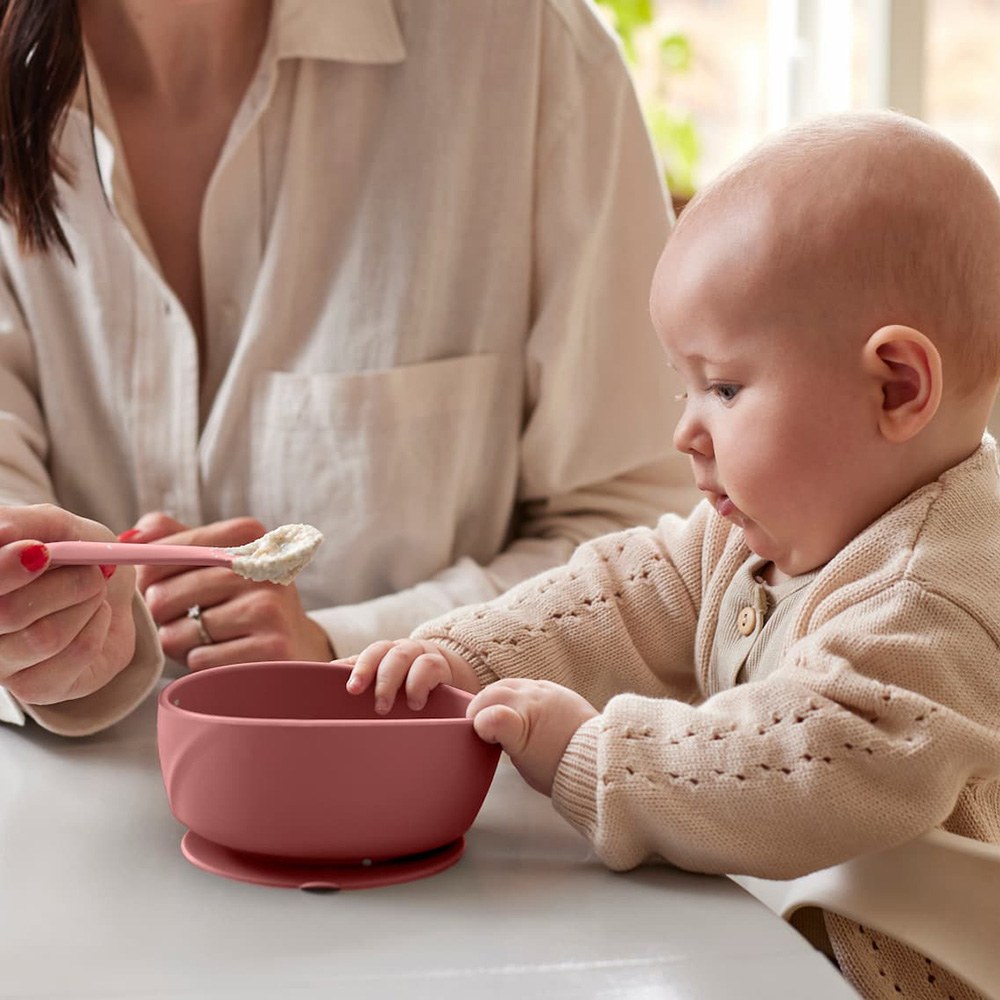 Everyday Baby silikonskål med sugkopp Nature Red