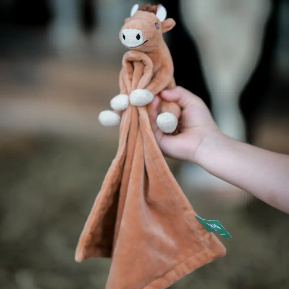 Rätt start Mamma Mu Snuttefiltskompis