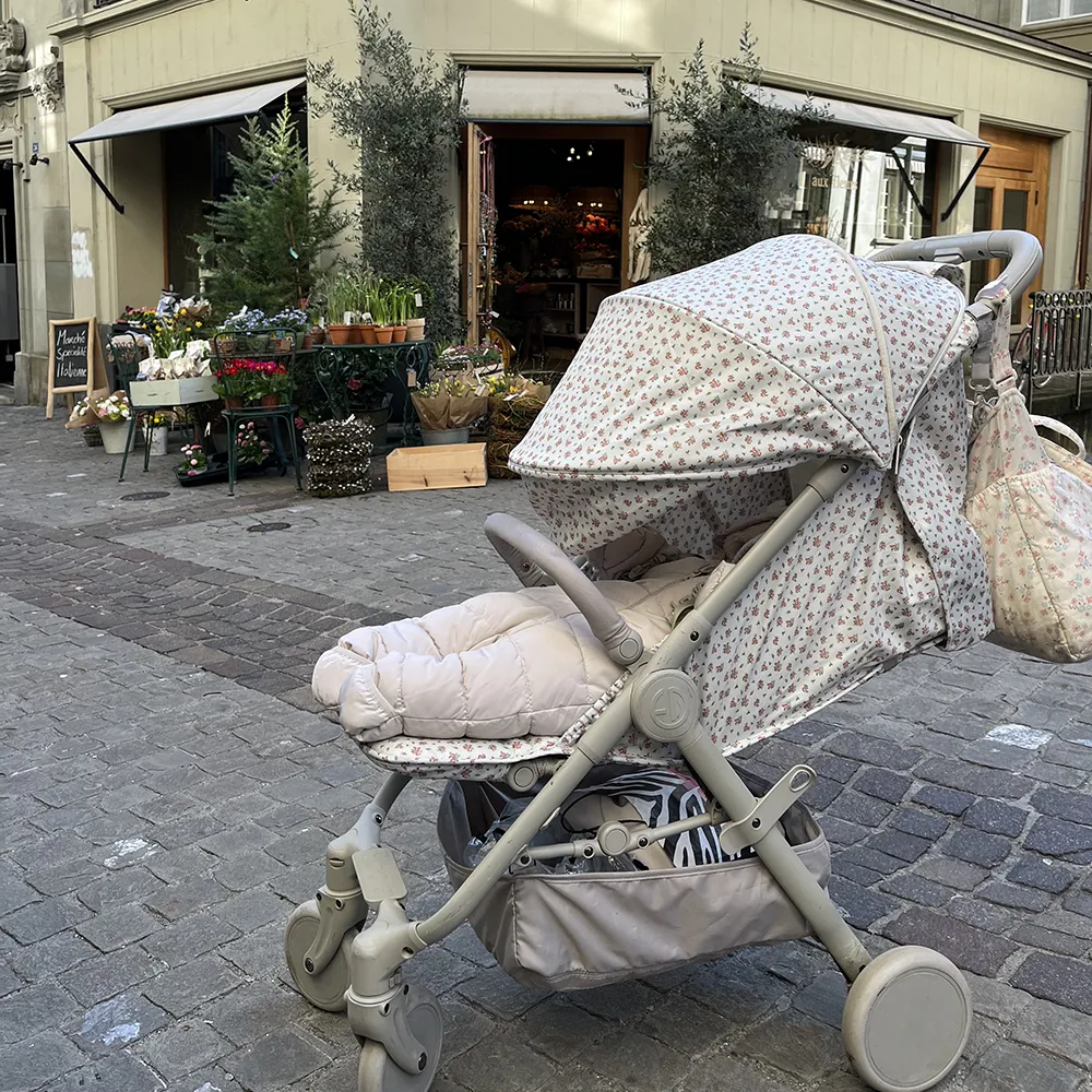 Elodie Details Mondo Sittvagn Autumn Rose