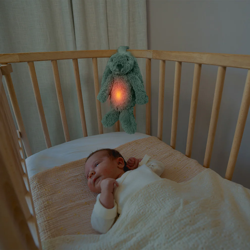 Zazu Nattlampa Kaninen Ro- Grön