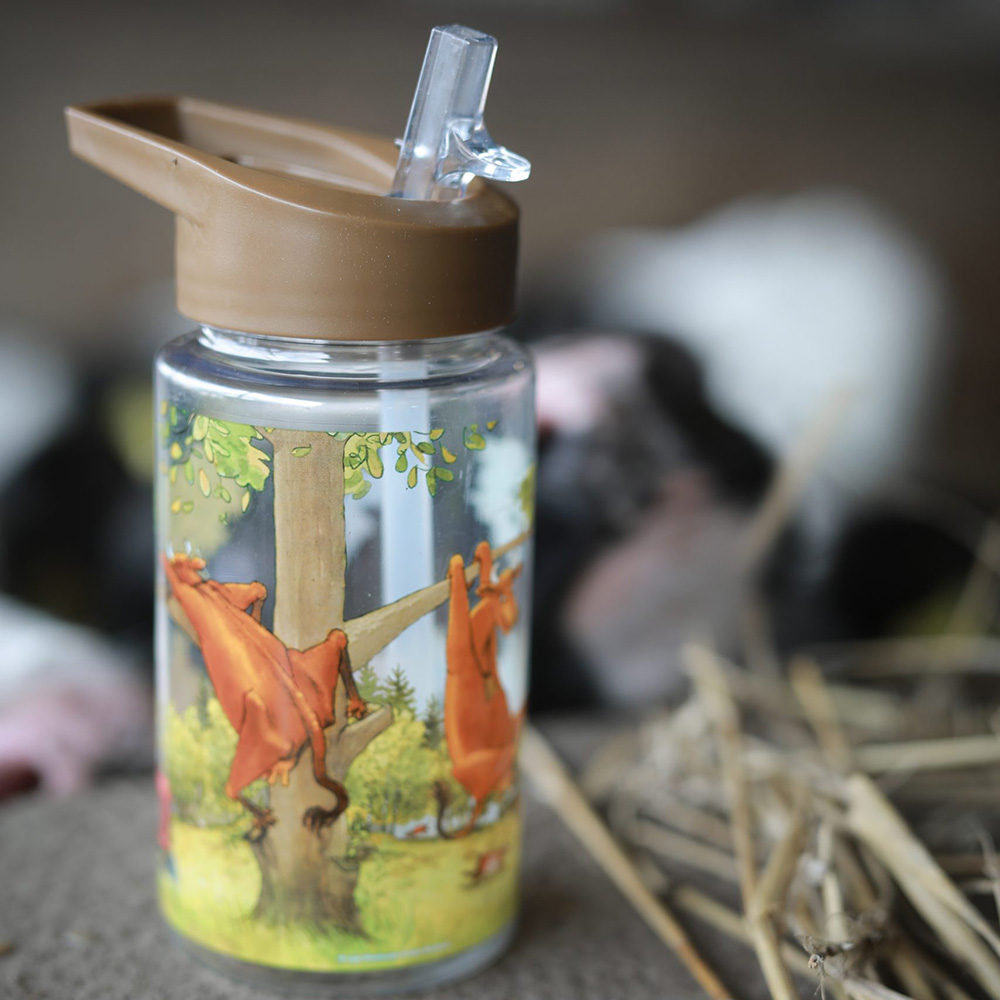 Rätt start Mamma Mu, Vattenflaska i plast