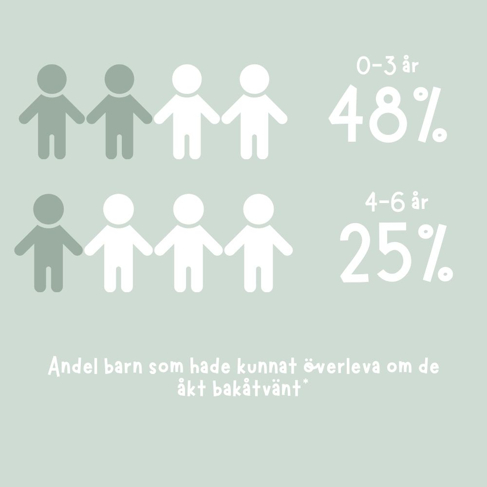 Artikel säkerhet 1.jpg