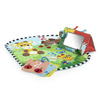 Baby Einstein Discovery Garden Tummy Time Mat & Mirror