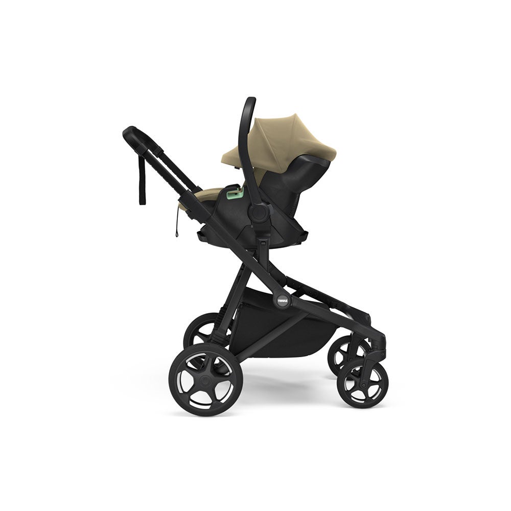 Thule Maple Faded Khaki
