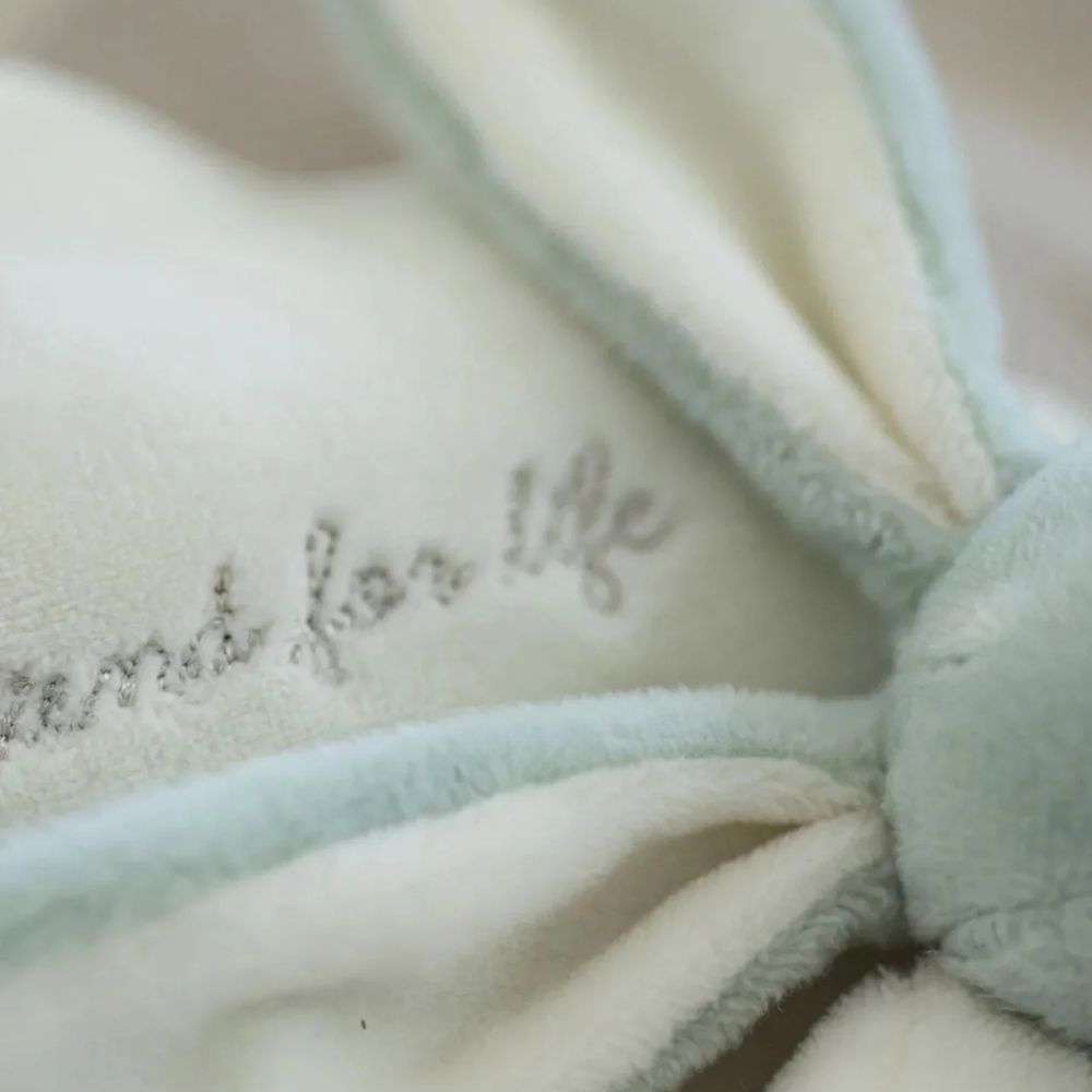 Teddykompaniet Diinglisar Speldosa Moln Kanin Lindblomsgrön