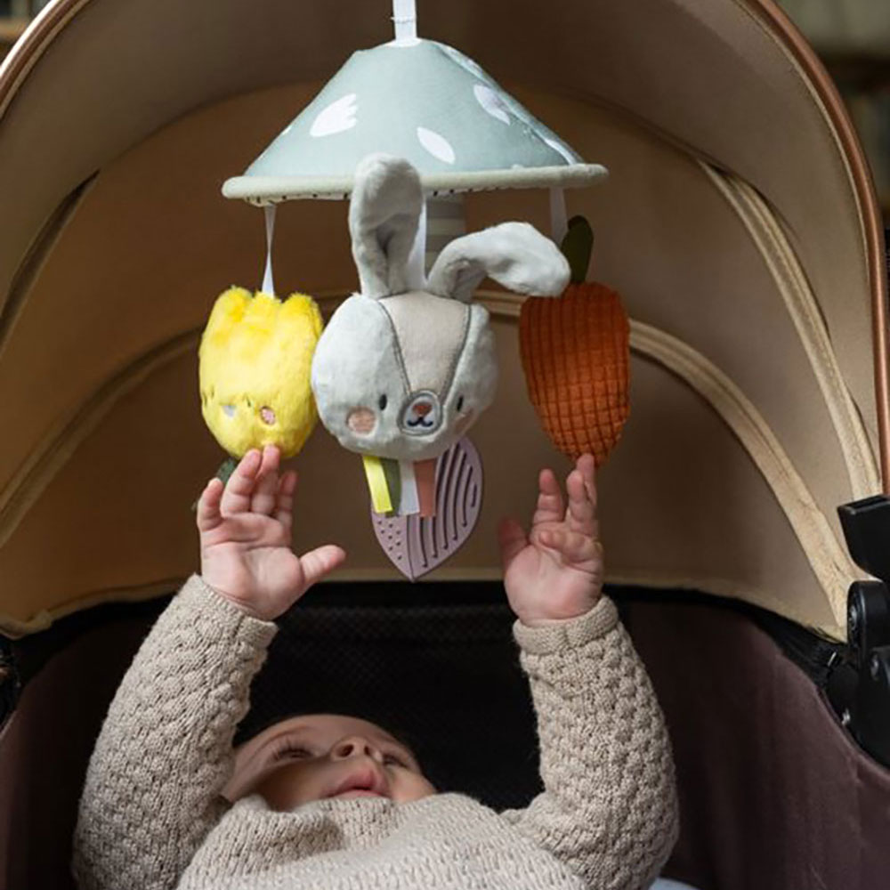 Taf Toys Garden Pram Mobile leksak